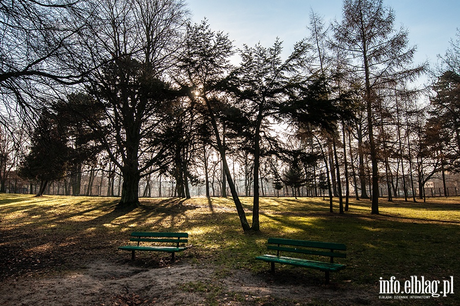Park Modrzewie- luty 2014, fot. 3
