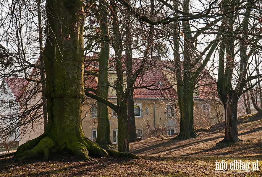 Park Modrzewie- luty 2014, fot. 7