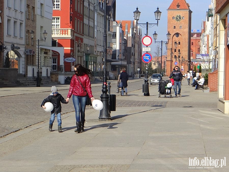 Rozmowy elblan o Europarlamencie i akcja Elblg czyta dzieciom, fot. 19