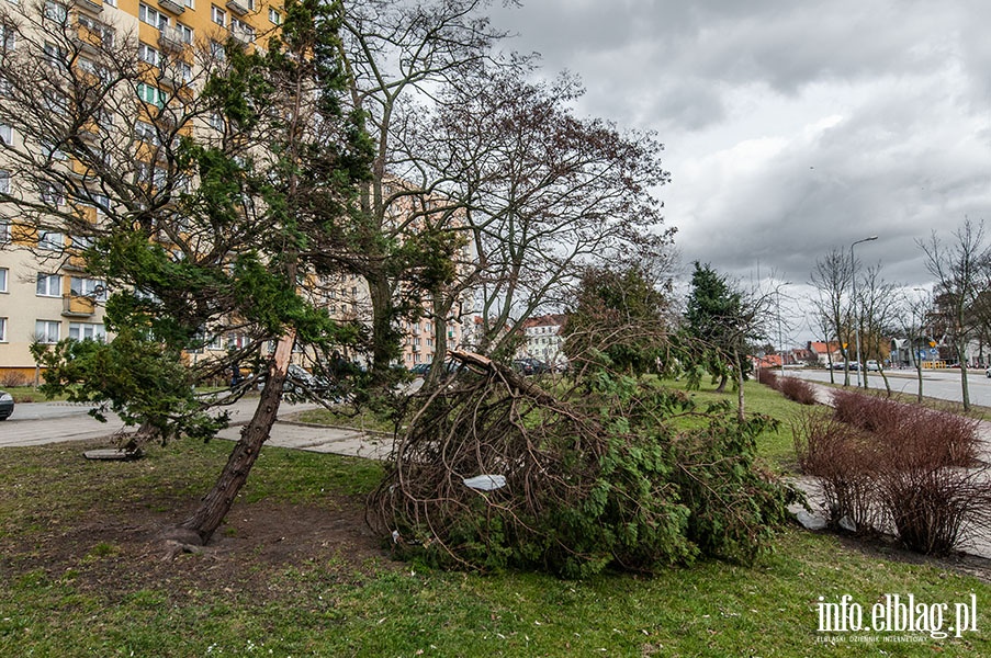 Szkody spowodowane przez silny wiatr, fot. 12