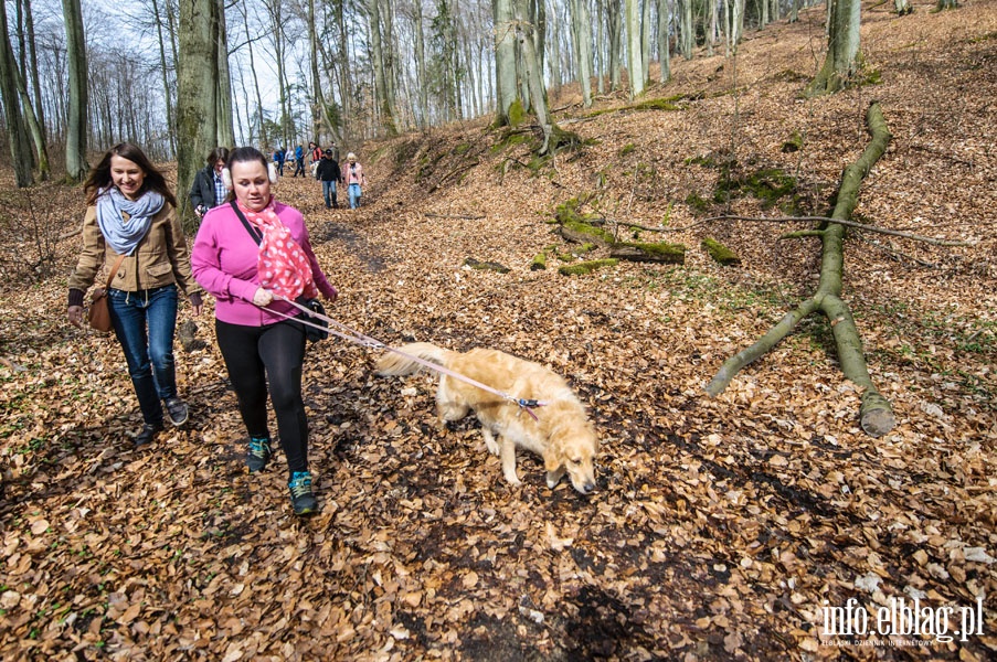Poszukiwanie wiosny w Baantarni, fot. 14
