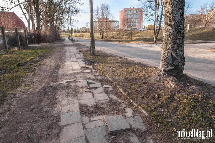 Bażantarnia, fot. 8