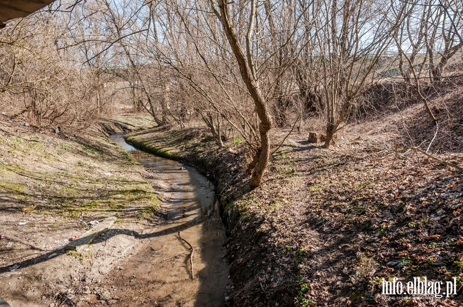 Teren do planowanego orodka rekreacji wodnej, fot. 4