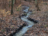 Bażantarnia-2