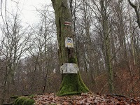 Bażantarnia 4
