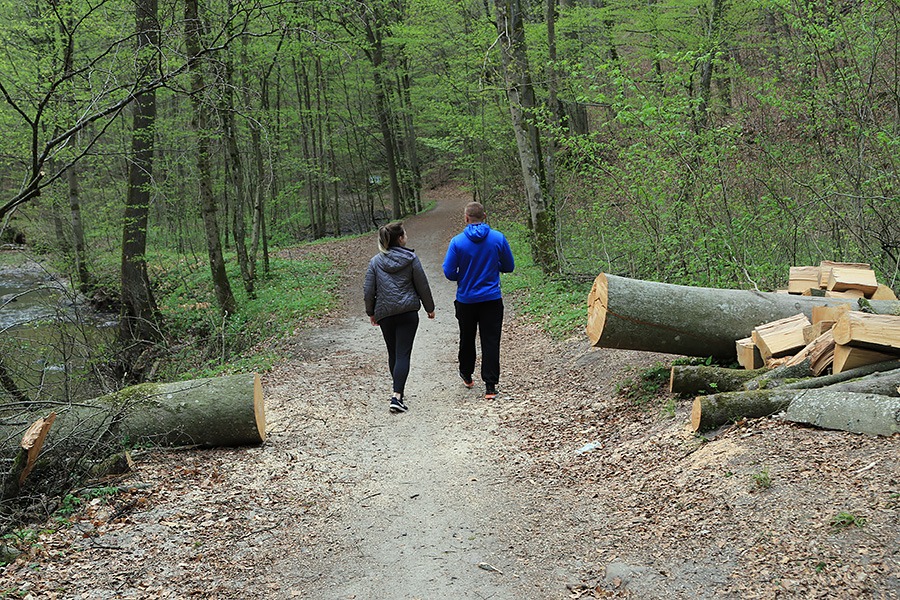 Bażantarnia, trasa wzdłuż Srebnego Potoku