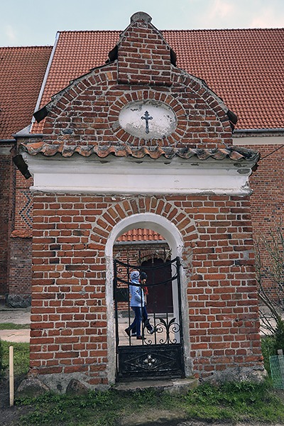 Płoskinia