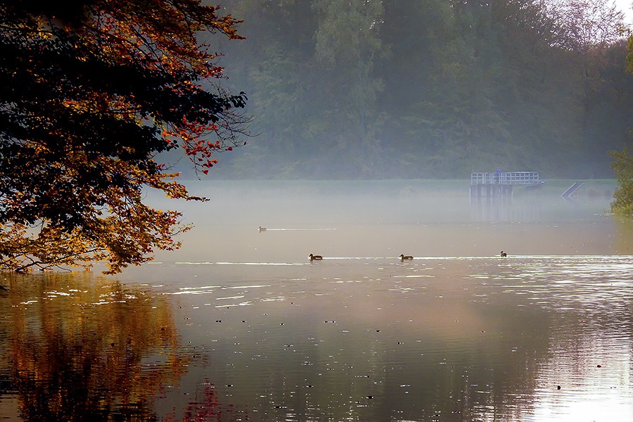 Jelenia Dolina