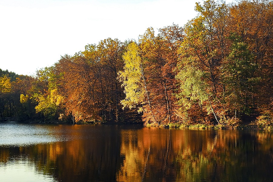 Jelenia Dolina