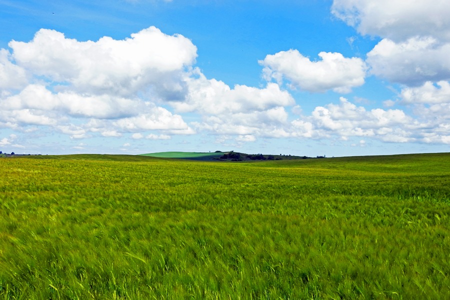 Widok okolice Sztumu