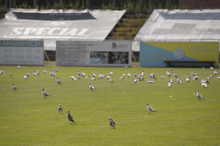 Stadion Olimpia Elblg