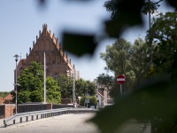 Galeria El