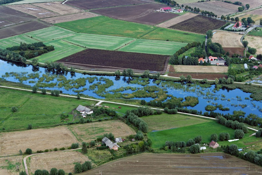 Rzeka Nogat