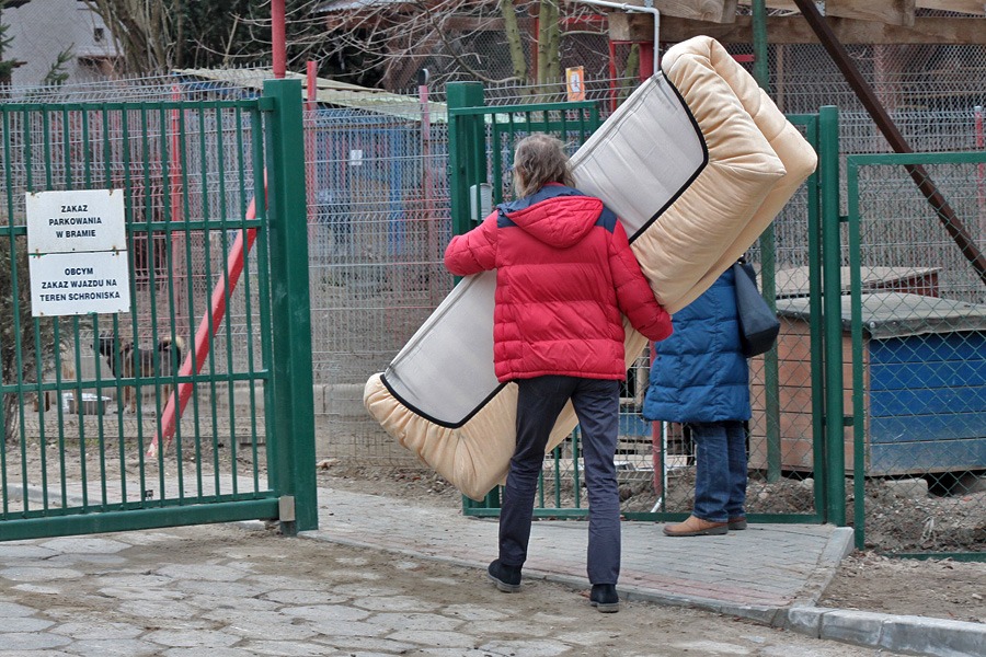 zdjęcie dnia
