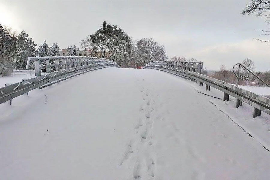 Gronowo Górne