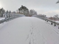 Gronowo Grne