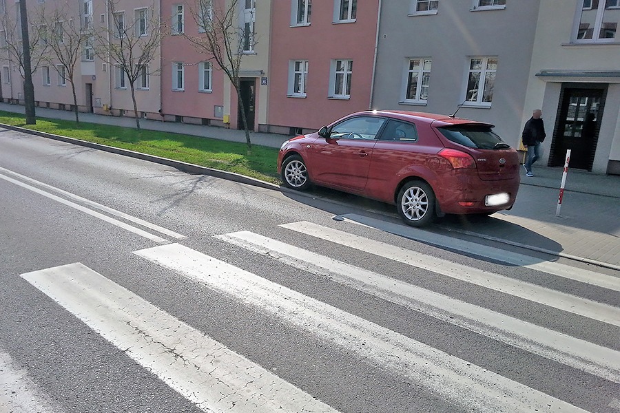 "Łoś" - a raczej "łosica" na Wojska Polskiego