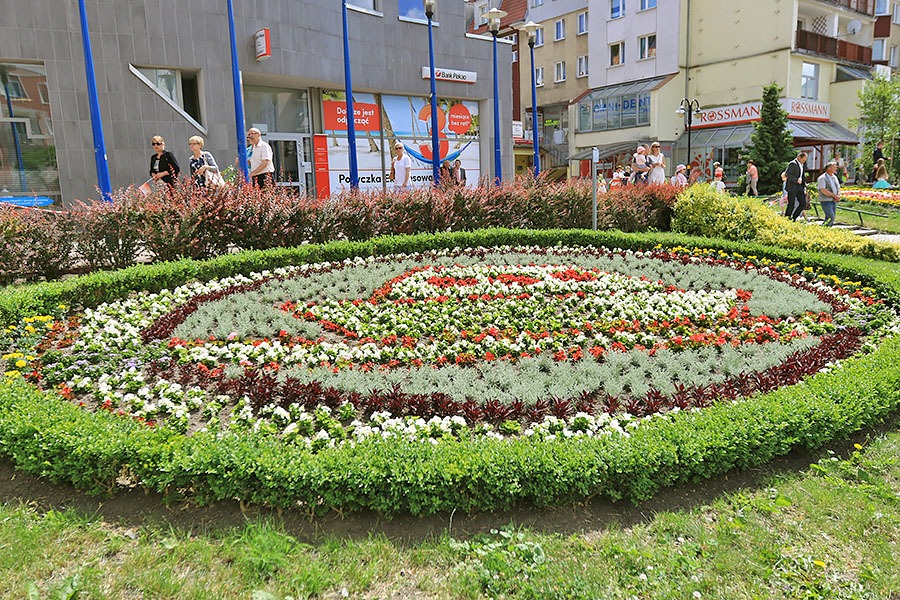 Rabata kwiatowa na ulicy Hetmanskiej