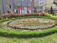 Rabata kwiatowa na ulicy Hetmanskiej