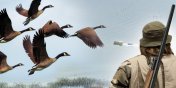 Wosi zastrzelili setki ptakw nad Zalewem Wilanym. ledztwo przeja elblska prokuratura