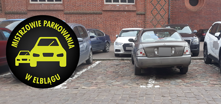 Mistrzowie parkowania w Elblgu (cz 235)