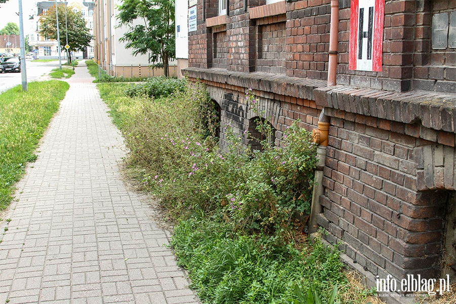 Zaniedbane ulice Elblga. Ulica Malborska, fot. 13