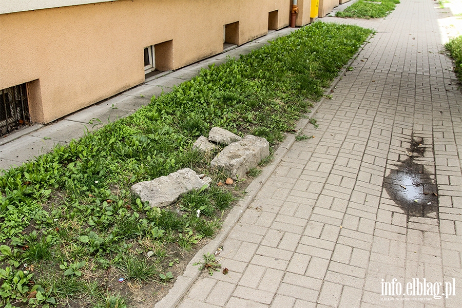 Zaniedbane ulice Elblga. Ulica Malborska, fot. 16